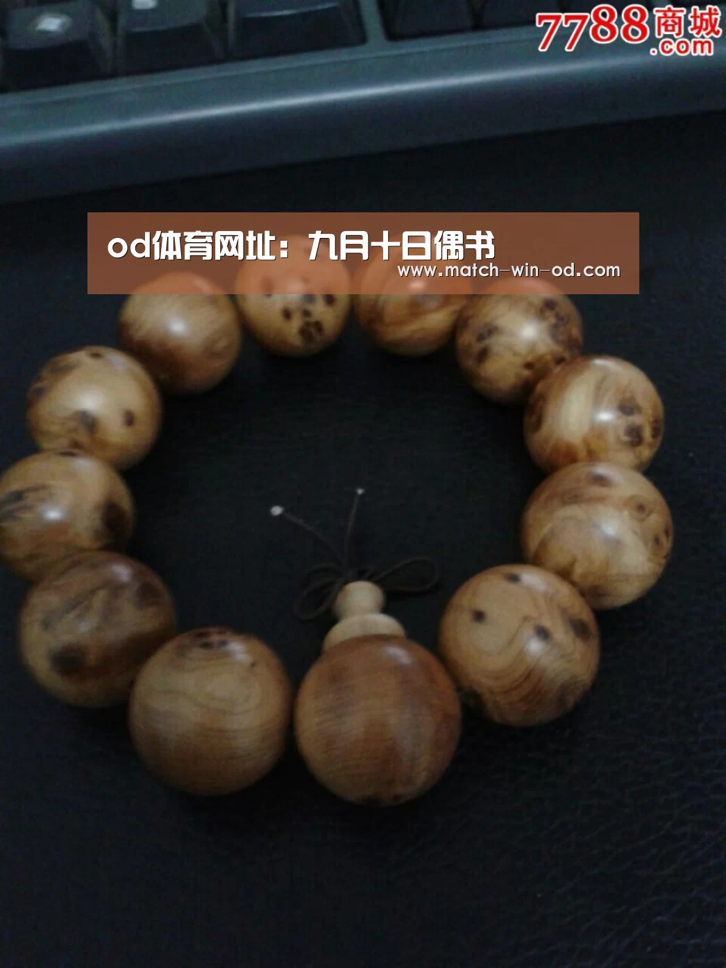 od体育网址