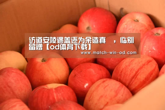 访道安陵遇盖还为余造真箓,临别留赠【od体育下载】(图4) od体育网址